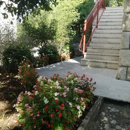 Petrovic Apartment
